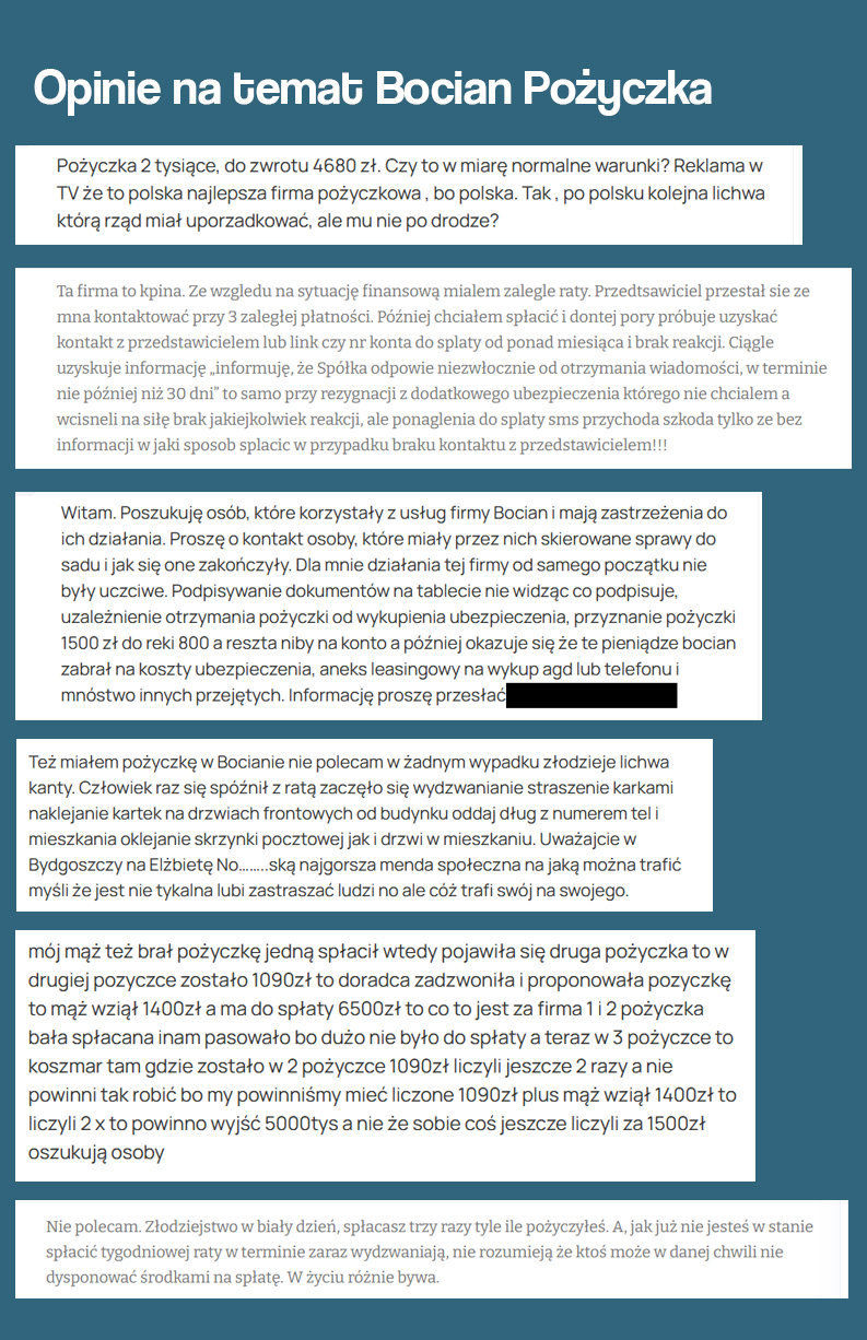 bocian pożyczka opinie